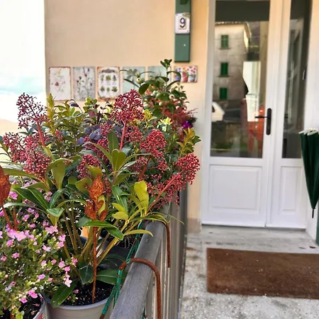 Tasso9 Boccheggiano